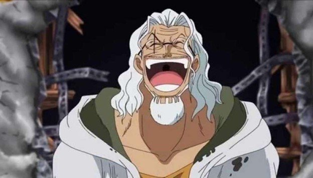 Silver Rayleigh - One Piece